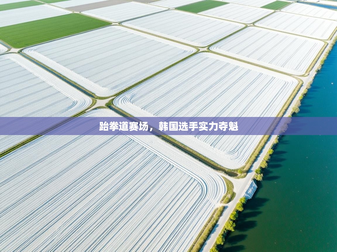 云开体育app官网入口-跆拳道赛场，韩国选手实力夺魁