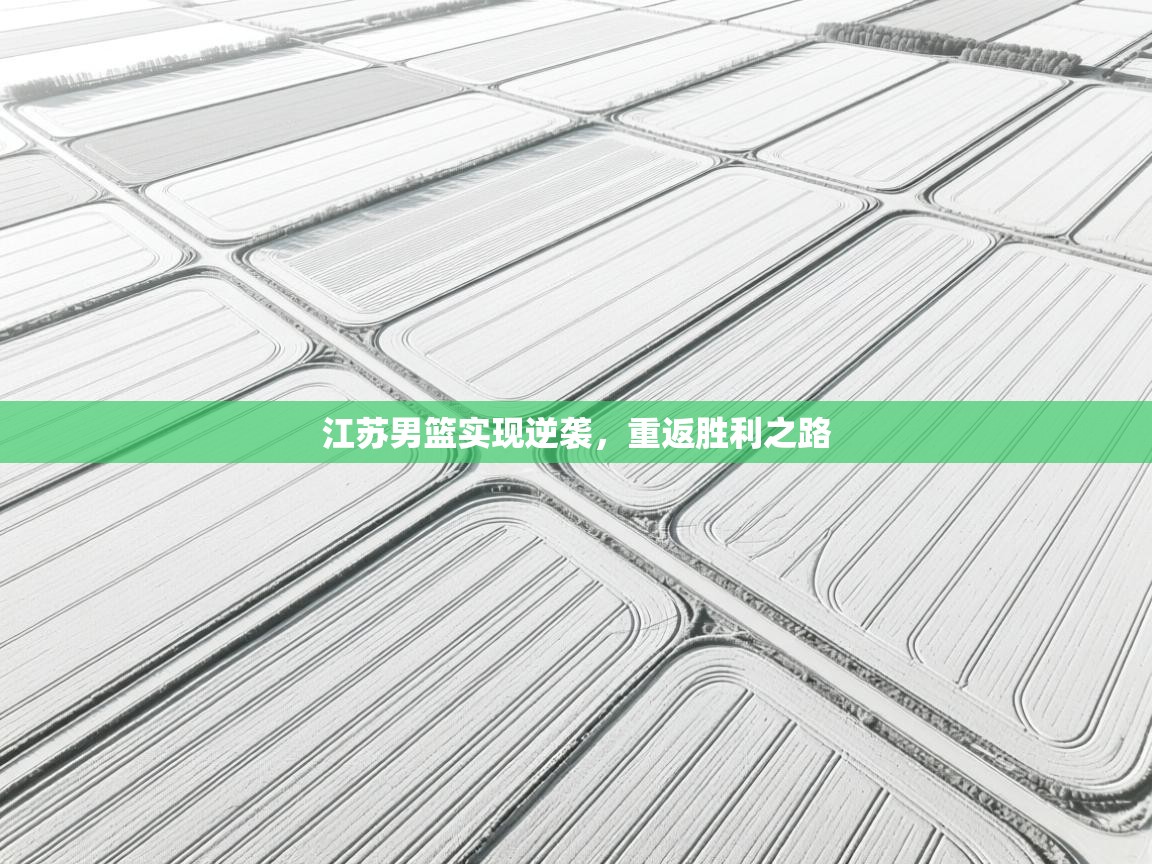 开云体育客服在线咨询-江苏男篮实现逆袭，重返胜利之路